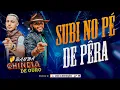 BANDA CHINELA DE OURO (SUBI NO PÉ DE PÊRA)