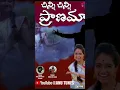 Download Lagu #lucky hema song Chinni chinni song singer Dilip Dhawan family heart touching song