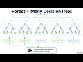 Isolation Forest Explained Simply Anomaly Detection Basics