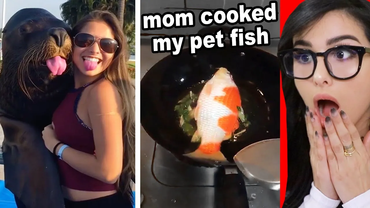 Send and accept invitation for YouTube premium family plan| Remove a member from YouTube family plan