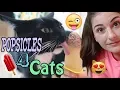 DIY MEAT POPSICLES FOR YOUR CATS THE IceCreamQueen