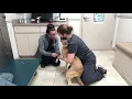Day in the life of a Veterinary Assistant
