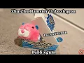 Zhu Zhu Pets Hamster Unboxing on Bubblegum Rare Factory Error Variant