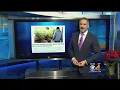Pot Shop Puts Marijuana On Display