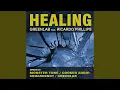 Download Lagu Healing (feat. Ricardo Phillips) (Original Mix)