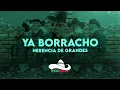 Herencia De Grandes Mix 2026 [ Letra ] Ya Borracho, Ya Fue, Como Duele El Amor, Brindo Y mas