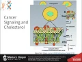 Lipids Part 5 of 12 Steroids