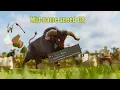 Brutus Speed-Trialist combat achievement - OSRS