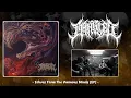 MANGLED - Echoes From The Ominous Minds 2026 Full EP