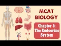 MCAT Biology Chapter 5 - The Endocrine System
