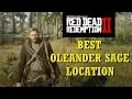 Red Dead Redemption 2 Best Oleander Sage Location