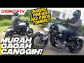 Lagu MATIC 250 cc YANG GAGAH DAN MURAH, KUPAS TUNTAS QJMOTOR SRV 250 AMT | Otomotif TV