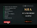Download Lagu full album stand here alone