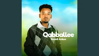 Qabballee 