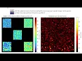 ALI The adaptive levels of interval method for processing laser biospeckle images