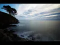 Carbon based lifeforms - Interloper