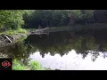 Hidden Pond