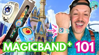 EVERYTHING You Need to Know About Disney World MagicBand