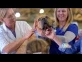 VIP Petcare - Don t miss our October Special 30