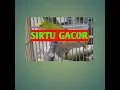 Download Lagu SIRPU | SIRDUM | SIRTU GAGOR ALAT PIKAT