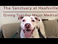Sanctuary at Haafsville