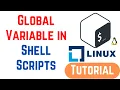 Global Variable in Shell Scripts In Linux