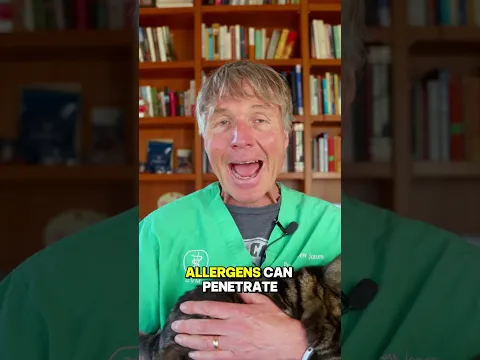 The Real Reason Your Dog Won’t Stop Itching