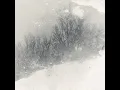 Telegram - Beautumn