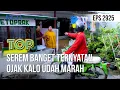 Download Lagu Serem Banget Ternyata!! Ojak Kalo Udah Marah - TUKANG OJEK PENGKOLAN