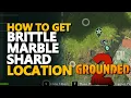 Brittle Marble Shard Location Grounded 2