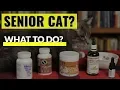 Old Cat In Pain 5 Natural Options