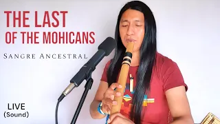 Download The Last of the Mohicans | Sangre Ancestral Live Session | Native American Music | Flute #subscribe MP3