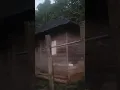 Download Lagu Suasana Rumah di kampung Pangguan di Hutapea Tarutung