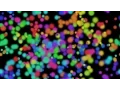 BLENDERSUSHI AN Touch Bar Slider LIVENODING117