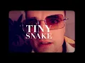 Tiny Snake