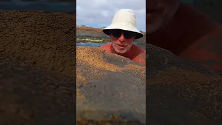 This is where the locals swim