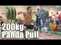 Lagu LU Xiaojun 200kg Panda Pull/Speed Pull, 245kg Snatch Pull | 2021 January Training