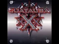 Guatauba - Plan B
