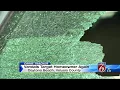 Vandals target homeowner again
