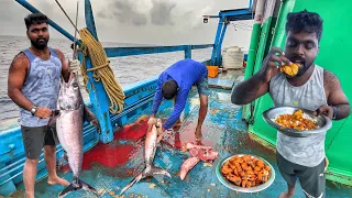 Life in the Middle of Ocean – Massive Fish Catch! | Boat Life Adventure