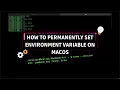 Setting Up Permanent Environment Variables on macOS