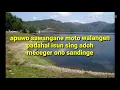 Download Lagu Suliyana Cupar plus lirik lagu