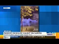 Rock wall collapses at Mead s Quarry Lake