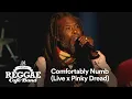 Download Lagu Vintage Reggae Café Band - Comfortably Numb (Live x Pinky Dread)