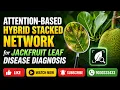 Attention-Based Jackfruit Leaf Disease Diagnosis Deep Learning CSE Final Year Project 2026