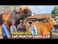 Download Lagu REVIEW SAPI MONSTER PASAR KEPPO PAMEKASAN MADURA❗️🔥