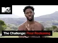 What is Your Relationship Status The Challenge Final Reckoning MTV