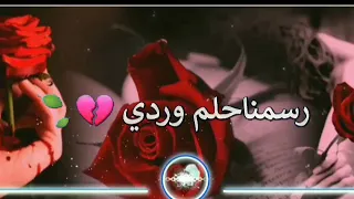 رسمنا حلم وردي حالات واتس ضاع الحلم منا 