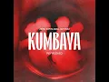 Kumbaya (DJ Freespirit Remix)