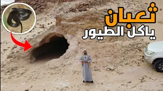 كهوف لن تصدق انها موجوده (كهوف عملاقة)